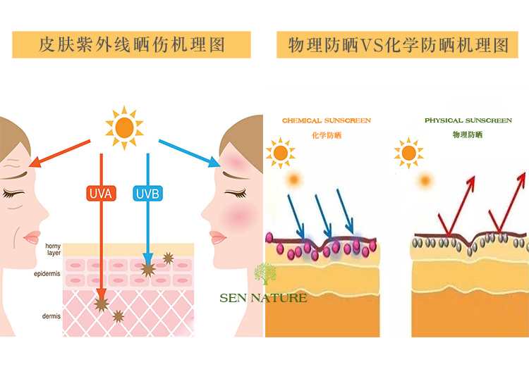 皮肤晒伤机物理防晒理图PNG.png